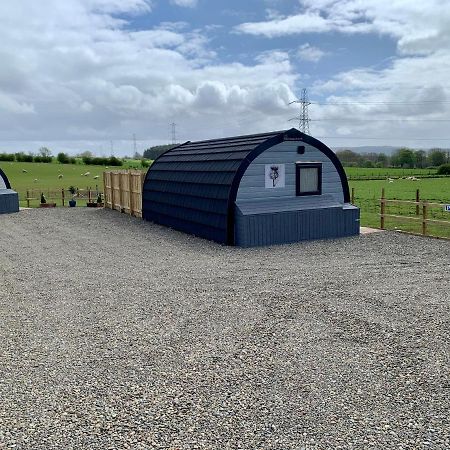 Thistle Pod Farm Stay With Hottub Sleeps 2 Galston  Exterior foto