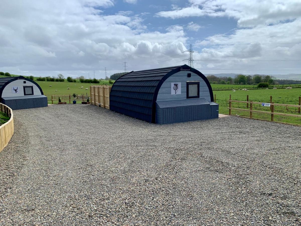 Thistle Pod Farm Stay With Hottub Sleeps 2 Galston  Exterior foto
